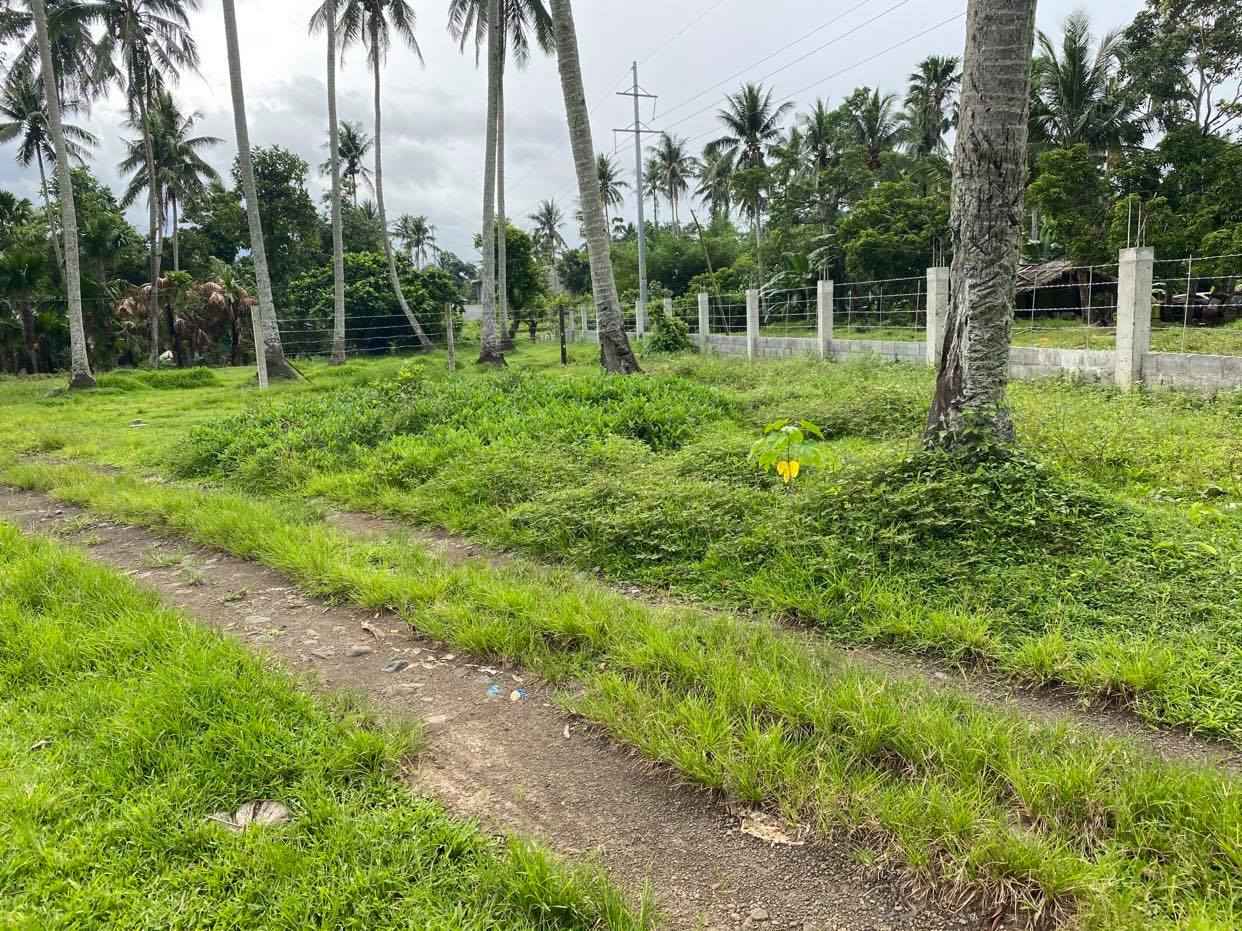 For Rent: 2,315 sqm Agricultural Lot in Bascaran Daraga, Albay