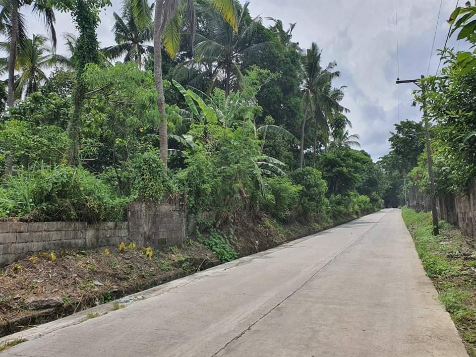 6000+ SQM Property in Brgy. Bolbok Lipa, Batangas