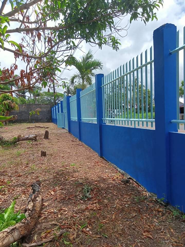 Lot For Sale Pacol Naga City at Albert Brown blog