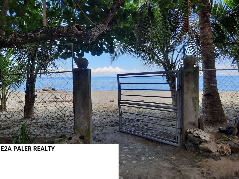 Private Beach Resort for sale ( Tapel Oas Albay )