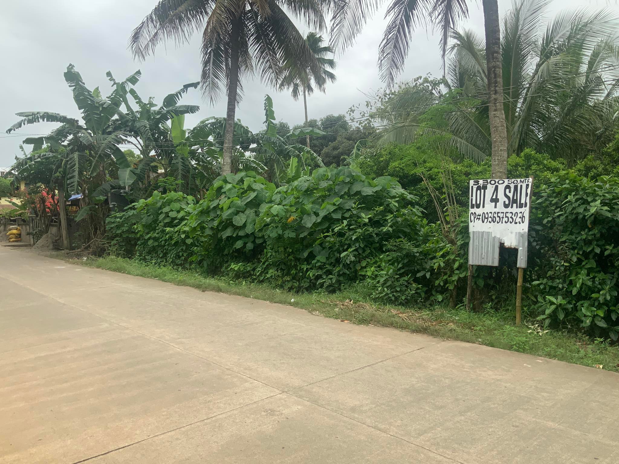 3,300 sqm Residential Lot for Sale in Ballesteros, Cagayan Valley